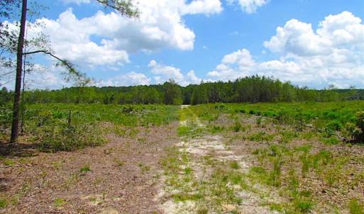 Photo of SOLD!!  222 Acres of Farm and Hunting Land For Sale in Isle of Wight County VA!