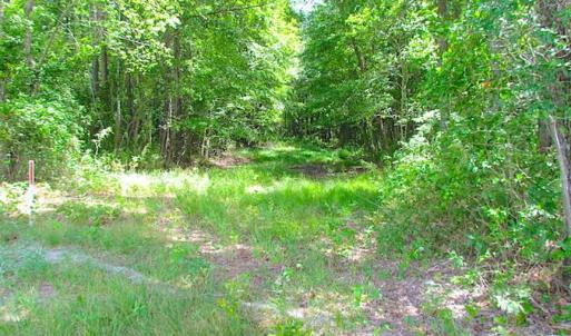 Photo of SOLD!!  222 Acres of Farm and Hunting Land For Sale in Isle of Wight County VA!