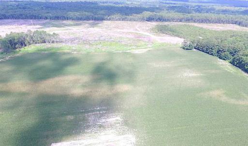 Photo of SOLD!!  222 Acres of Farm and Hunting Land For Sale in Isle of Wight County VA!
