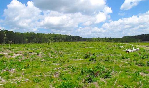 Photo of SOLD!!  222 Acres of Farm and Hunting Land For Sale in Isle of Wight County VA!