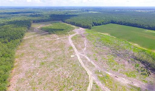 Photo of SOLD!!  222 Acres of Farm and Hunting Land For Sale in Isle of Wight County VA!