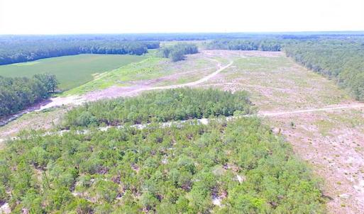 Photo of SOLD!!  222 Acres of Farm and Hunting Land For Sale in Isle of Wight County VA!