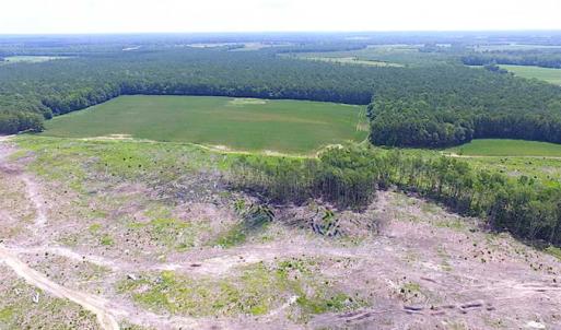 Photo of SOLD!!  222 Acres of Farm and Hunting Land For Sale in Isle of Wight County VA!