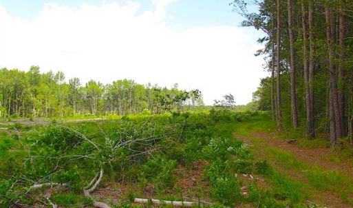 Photo of SOLD!!  222 Acres of Farm and Hunting Land For Sale in Isle of Wight County VA!