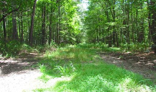 Photo of SOLD!!  222 Acres of Farm and Hunting Land For Sale in Isle of Wight County VA!
