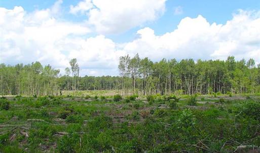 Photo of SOLD!!  222 Acres of Farm and Hunting Land For Sale in Isle of Wight County VA!