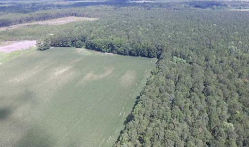 Photo of SOLD!!  222 Acres of Farm and Hunting Land For Sale in Isle of Wight County VA!