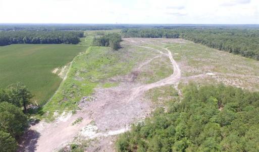 Photo of SOLD!!  222 Acres of Farm and Hunting Land For Sale in Isle of Wight County VA!