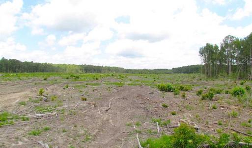 Photo of SOLD!!  222 Acres of Farm and Hunting Land For Sale in Isle of Wight County VA!