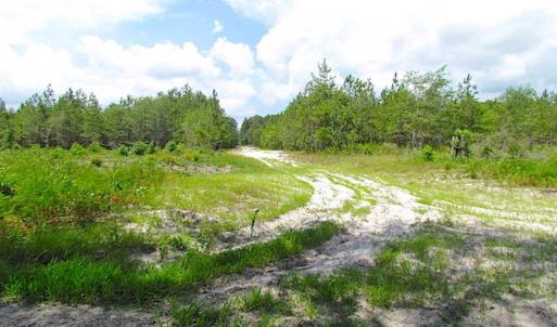 Photo of SOLD!!  222 Acres of Farm and Hunting Land For Sale in Isle of Wight County VA!