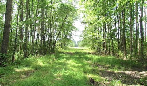 Photo of SOLD!!  222 Acres of Farm and Hunting Land For Sale in Isle of Wight County VA!