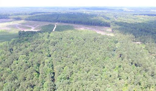 Photo of SOLD!!  222 Acres of Farm and Hunting Land For Sale in Isle of Wight County VA!