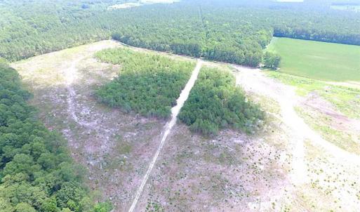 Photo of SOLD!!  222 Acres of Farm and Hunting Land For Sale in Isle of Wight County VA!