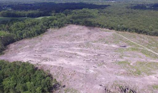 Photo of SOLD!!  222 Acres of Farm and Hunting Land For Sale in Isle of Wight County VA!