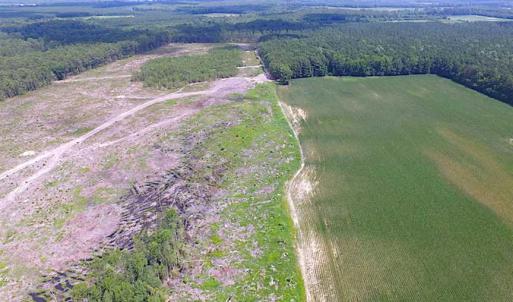 Photo of SOLD!!  222 Acres of Farm and Hunting Land For Sale in Isle of Wight County VA!