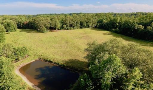 Photo of SOLD!  39.74 Acres of Tar River Hunting and Recreational Land in Edgecombe County NC!