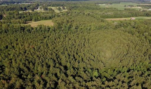 Photo of SOLD!  39.74 Acres of Tar River Hunting and Recreational Land in Edgecombe County NC!
