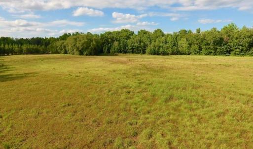 Photo of SOLD!  39.74 Acres of Tar River Hunting and Recreational Land in Edgecombe County NC!
