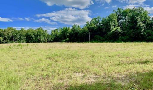Photo of SOLD!  39.74 Acres of Tar River Hunting and Recreational Land in Edgecombe County NC!