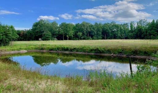 Photo of SOLD!  39.74 Acres of Tar River Hunting and Recreational Land in Edgecombe County NC!