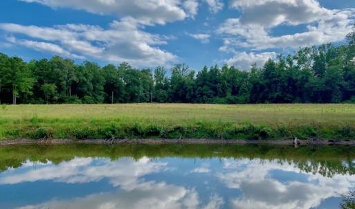 Photo of SOLD!  39.74 Acres of Tar River Hunting and Recreational Land in Edgecombe County NC!
