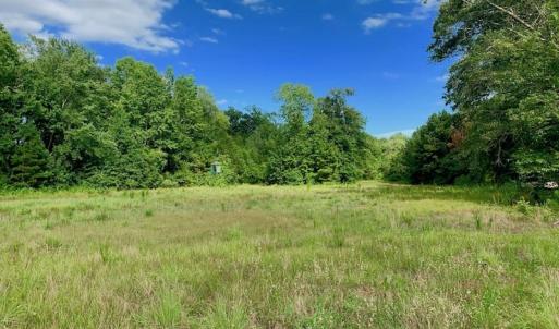 Photo of SOLD!  39.74 Acres of Tar River Hunting and Recreational Land in Edgecombe County NC!