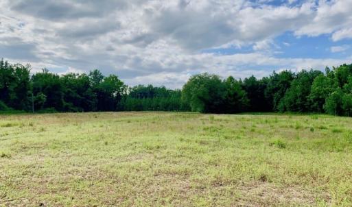 Photo of SOLD!  39.74 Acres of Tar River Hunting and Recreational Land in Edgecombe County NC!