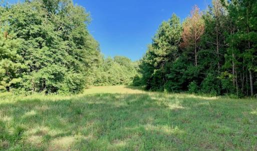 Photo of SOLD!  39.74 Acres of Tar River Hunting and Recreational Land in Edgecombe County NC!