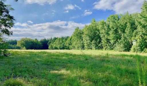 Photo of SOLD!  39.74 Acres of Tar River Hunting and Recreational Land in Edgecombe County NC!