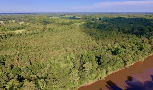Photo of SOLD!  39.74 Acres of Tar River Hunting and Recreational Land in Edgecombe County NC!