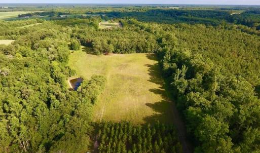 Photo of SOLD!  39.74 Acres of Tar River Hunting and Recreational Land in Edgecombe County NC!