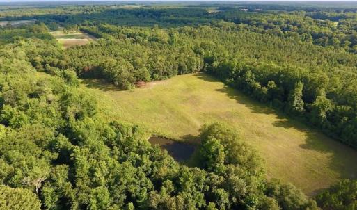 Photo of SOLD!  39.74 Acres of Tar River Hunting and Recreational Land in Edgecombe County NC!