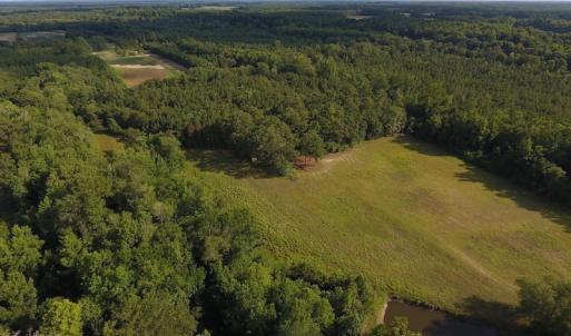 Photo of SOLD!  39.74 Acres of Tar River Hunting and Recreational Land in Edgecombe County NC!