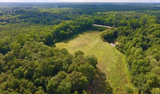 Photo of SOLD!  39.74 Acres of Tar River Hunting and Recreational Land in Edgecombe County NC!