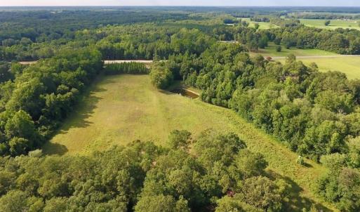 Photo of SOLD!  39.74 Acres of Tar River Hunting and Recreational Land in Edgecombe County NC!
