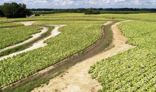 Photo of SOLD!!  26.8 Acres of Farm and Timber Land For Sale in Nash County NC!