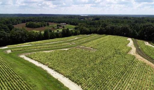 Photo of SOLD!!  26.8 Acres of Farm and Timber Land For Sale in Nash County NC!