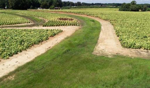 Photo of SOLD!!  26.8 Acres of Farm and Timber Land For Sale in Nash County NC!