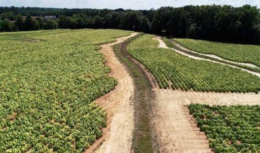Photo of SOLD!!  26.8 Acres of Farm and Timber Land For Sale in Nash County NC!