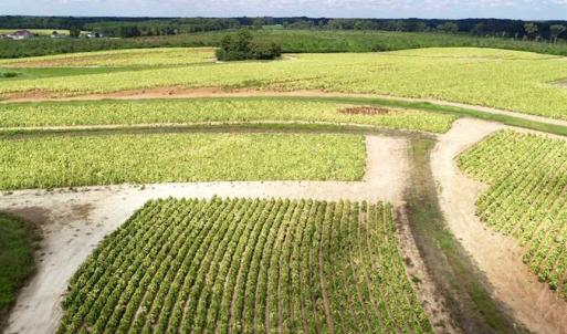 Photo of SOLD!!  26.8 Acres of Farm and Timber Land For Sale in Nash County NC!
