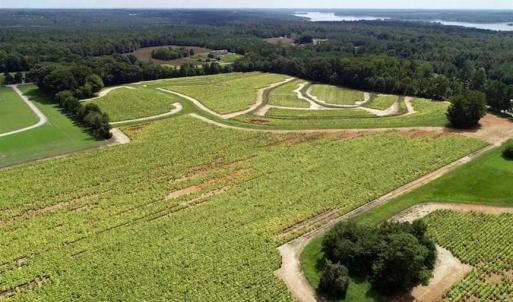 Photo of SOLD!!  26.8 Acres of Farm and Timber Land For Sale in Nash County NC!