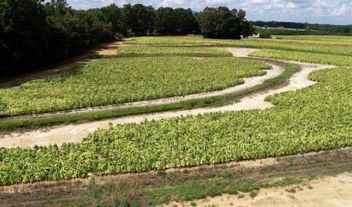Photo of SOLD!!  26.8 Acres of Farm and Timber Land For Sale in Nash County NC!