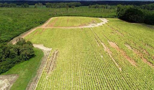 Photo of SOLD!  29.4 Acres of  Farm and Timber and For Sale in Nash County NC!