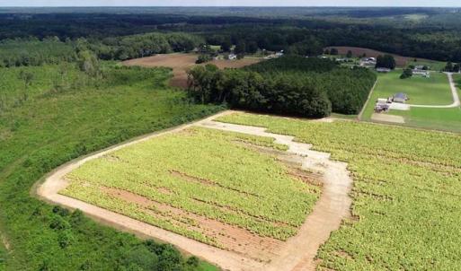Photo of SOLD!  29.4 Acres of  Farm and Timber and For Sale in Nash County NC!