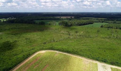 Photo of SOLD!  29.4 Acres of  Farm and Timber and For Sale in Nash County NC!