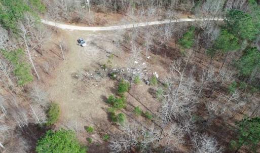 Photo of SOLD!!  115 Acres of Hunting Land For Sale in Robeson County NC!