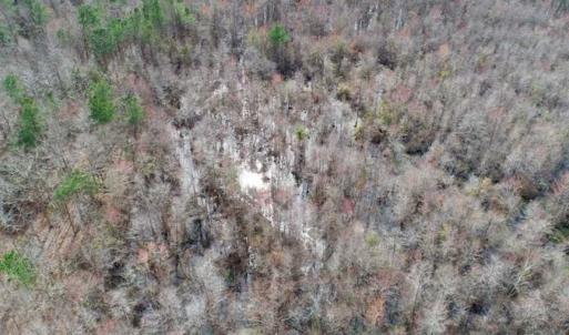 Photo of SOLD!!  115 Acres of Hunting Land For Sale in Robeson County NC!