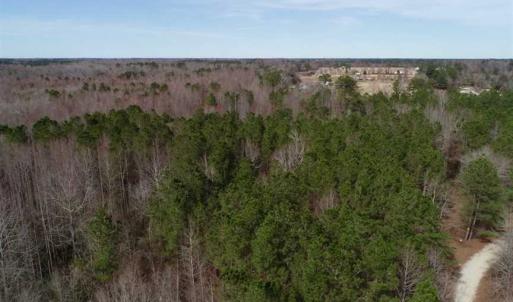 Photo of SOLD!!  115 Acres of Hunting Land For Sale in Robeson County NC!