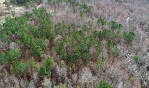 Photo of SOLD!!  115 Acres of Hunting Land For Sale in Robeson County NC!