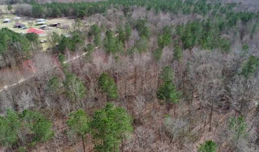 Photo of SOLD!!  115 Acres of Hunting Land For Sale in Robeson County NC!
